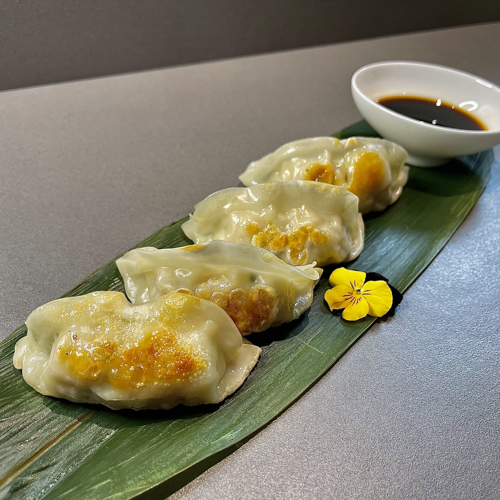 Gyoza poulet